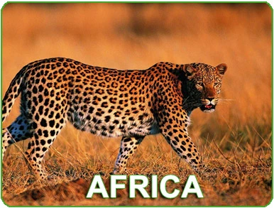 View Our Hunts : African Hunts