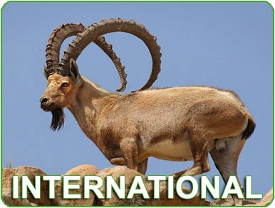 View Our Hunts : International Hunts