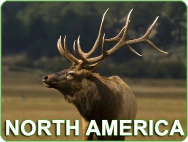 View Our Hunts : North America