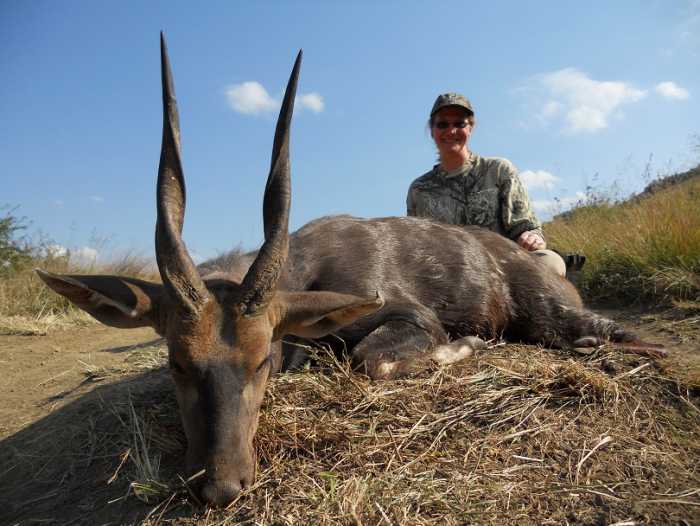 Spiral Horn Bushbuck Trophy