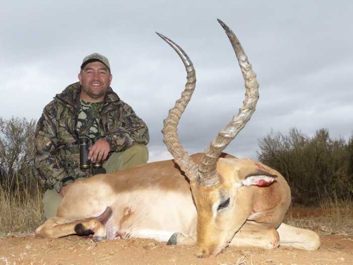 Trophy Impala