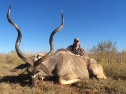 Giant Trophy Kudu