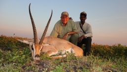 Grant's Gazelle Trophy in Maasailand