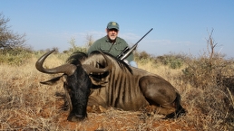 Cull hunting trophy
