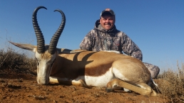 Trophy Springbok