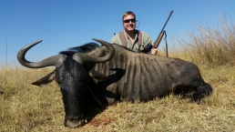 Wildebeest Slam Trophy Blue Wildebeest