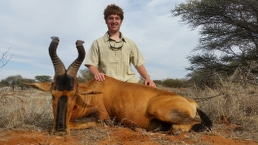 Wildebeest Slam Trophy Red Hartebeest