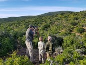 Father and sons looking for game while on safari
