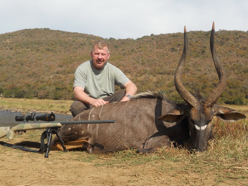 Free-Range Nyala in Kwazulu Natal