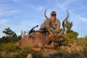 Cull Kudu