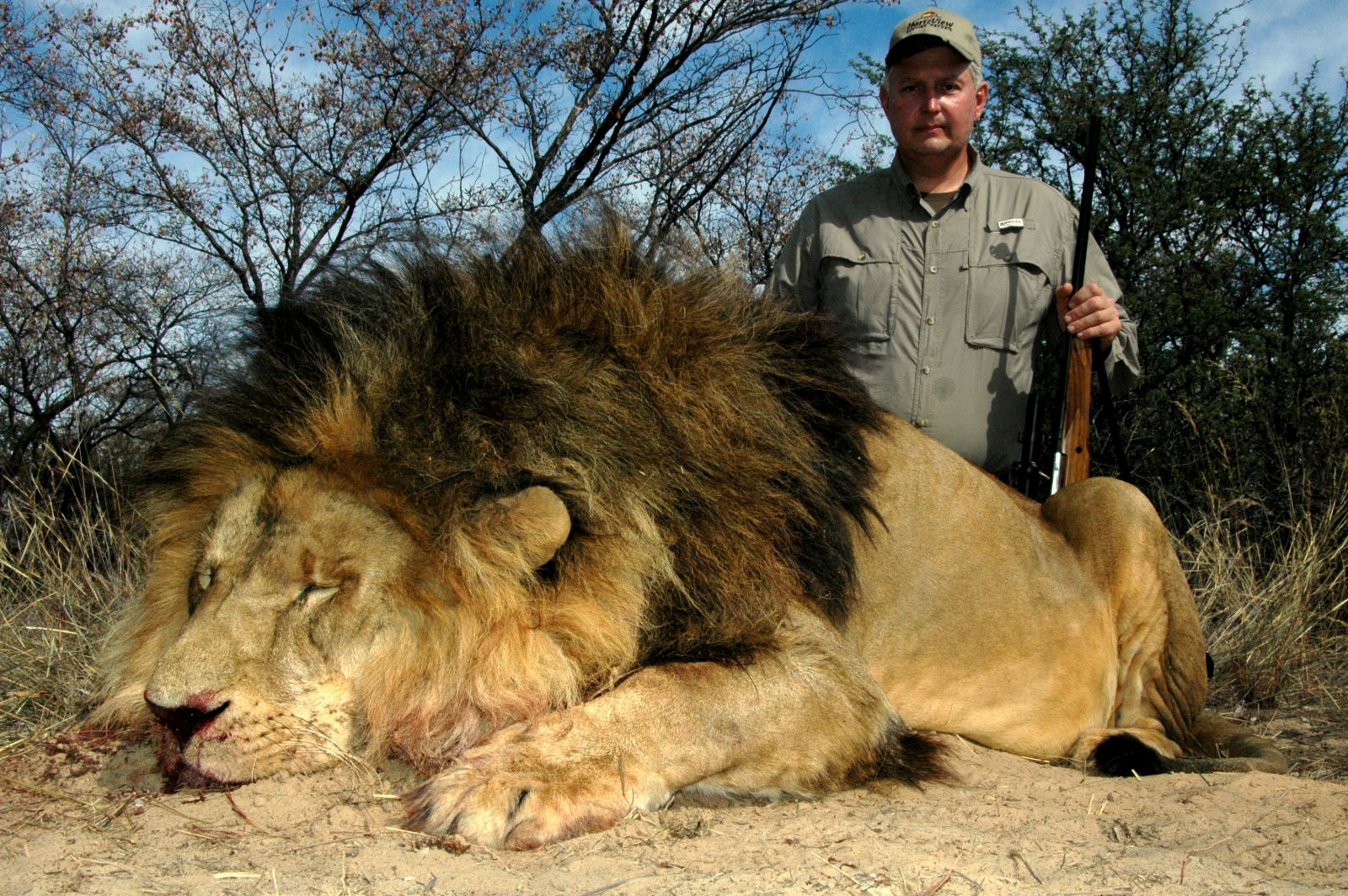 Image result for lion hunting