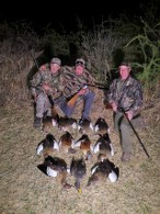 Ducks and geese in the Free State