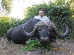 Trophy Cape Buffalo taken near Sengwe