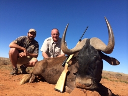 Trophy Black Wildebeest
