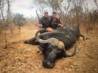 Nice Selous Reserve Cape Buffalo