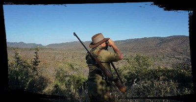 Glassing for Giant Kudu