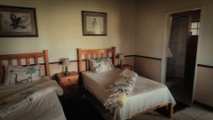 Discounted Cape Buffalo Guest Bedroom