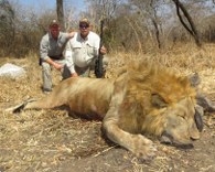 Tanzania Lion Trophy