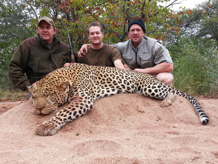 Trophy leopard taken in Zimbabwe