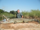 Trophy Nile crocodile in South Africa