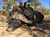 Selous Reserve Cape Buffalo Trophy