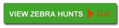 Link to Zebra Hunts