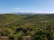 View of Eastern Cape Terrain