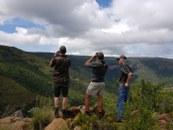 Glassing for Game inj the Eastern Cape