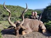 Eastern Cape Trophy Kudu