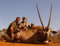 Limpopo trophy gemsbok