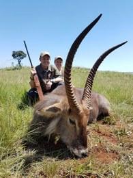 Trophy Waterbuck in South Africa