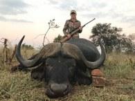 Big Discounted Trophy Cape Buffalo