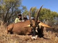 Trophy discounted roan