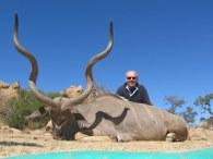 Trophy Kudu in Namibia