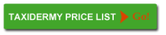 Link to Taxidermy Price List