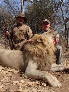 Full Bag Tanzania Lion Trophy