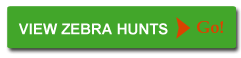 Link to Zebra Hunts