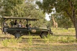 5 Star Safari Tour