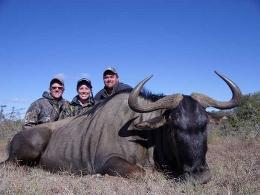 Eastern Cape Wildebeest Trophy