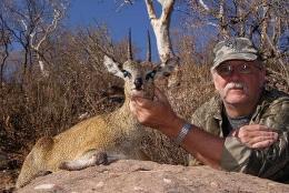 Klipspringer Photo