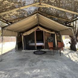hippo lodge in namibia