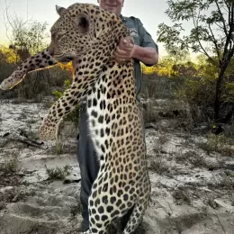 trophy leopard namibia