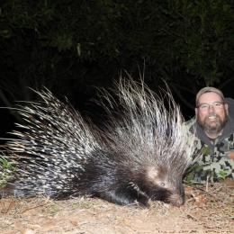 porcupine hunt