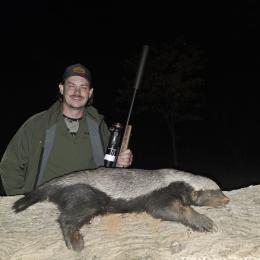 honey badger hunt