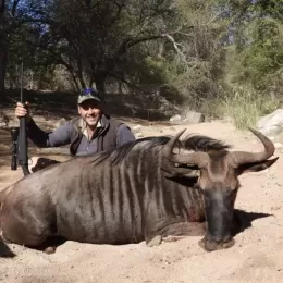 cull wildebeest trophy photo