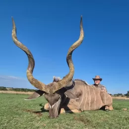 free range kudu