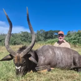 nyala trophy photo