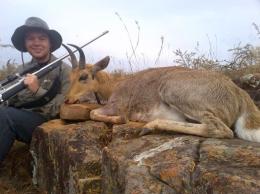 Trophy Mountain Reedbuck