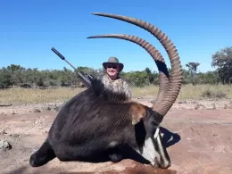 hunt trophy sable