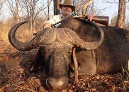 Cape Buffalo Trophy